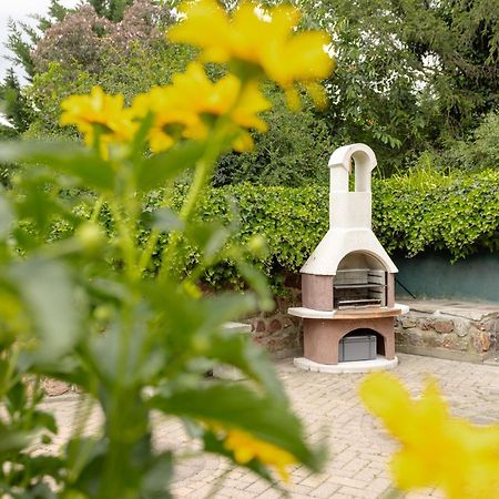 Ferienhaus Am Bergeshang Blankenburg  Esterno foto