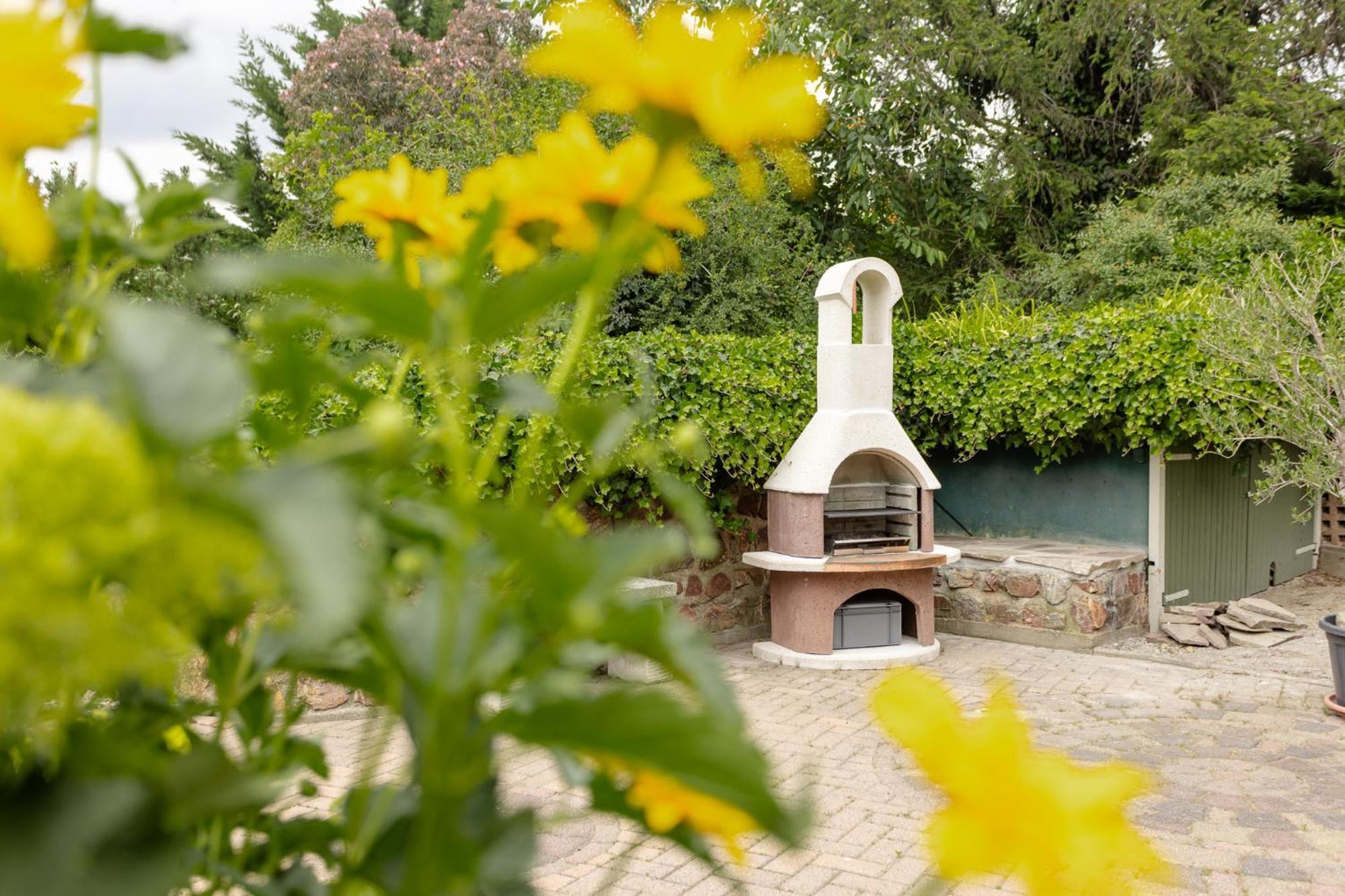 Ferienhaus Am Bergeshang Blankenburg  Esterno foto